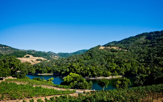 View of Alamitos Vineyards, hillsides of Quicksilver Park, and Almaden Reservoir in San Jose County, California