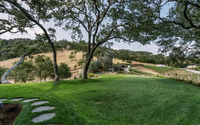 Lush green grass at Alamitos Vineyards and Estate Tasting Room in San Jose, California