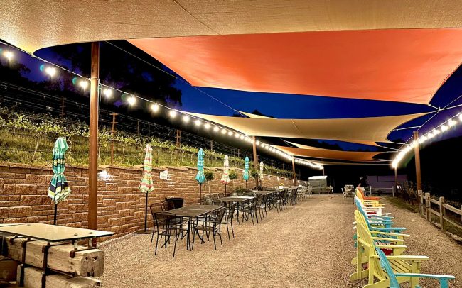 Outdoor dining and tasting area next to the vines