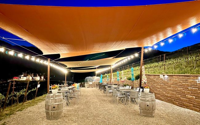 Outdoor dining and tasting area next to the vines
