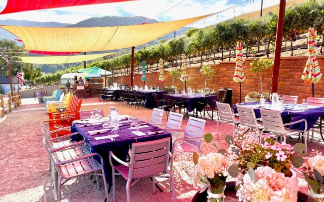 Outdoor dining and tasting area next to the vines