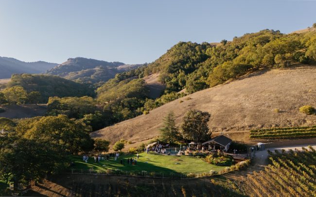 Aerial view of the Alamitos Vineyards tasting room and grapevines